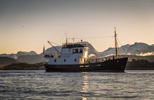 Fishing Trip in Alesund