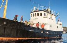 Fishing Trip in Alesund