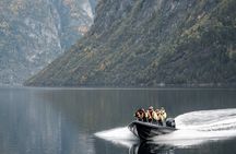 Fjord Safari in Alesund
