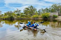 Clear Kayak Ecotour of Tarpon Springs Anclote River