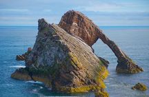 From Inverness: Whisky, Wildlife and Coasts Tour