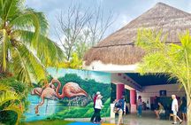 Celestun Flamingos Beach & Seafood Tour departure from Merida