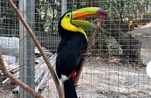  Exclusive Roatan Islands Tour Monkey Sloth birds 