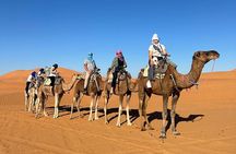 Marrakech to Merzouga 3-Day Desert Adventure and Camel Trek