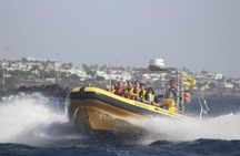 Sunset with Dolphins on the Lanzarote Coast