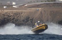 Sunset with Dolphins on the Lanzarote Coast
