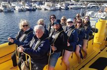 Sunset with Dolphins on the Lanzarote Coast