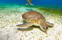 Catamaran Sky Tour in Cozumel 
