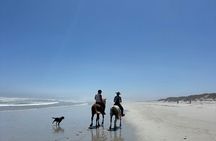 Beach Horse Ride in Yzerfontein, Western Cape