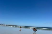 Beach Horse Ride in Yzerfontein, Western Cape
