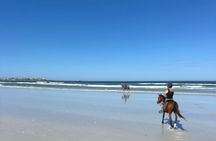 Beach Horse Ride in Yzerfontein, Western Cape