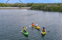 Sea Glass Island and Clear Kayak Adventure