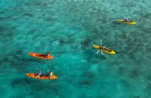 Sea Glass Island and Clear Kayak Adventure