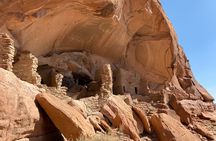 Half Day 4x4 UTV Tour of Bears Ears