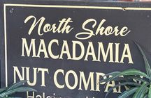 North Shore Foodie Fun: Eat, Explore, Enjoy (Incl. Dole)