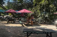 North Shore Foodie Fun: Eat, Explore, Enjoy (Incl. Dole)