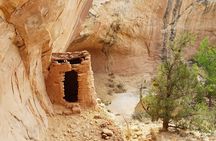 San Juan River and Hummer Cliff Dwelling Expedition