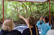 Damas Island Quepos Authentic Local Mangrove Boat Tour