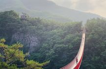 Seoul: DMZ and Gamaksan Suspension Bridge Full Day Tour