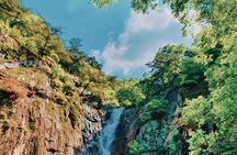 Seoul: DMZ and Gamaksan Suspension Bridge Full Day Tour