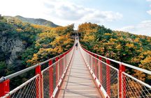 Seoul: DMZ and Gamaksan Suspension Bridge Full Day Tour