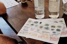 Mexican Spirits Tasting: Experience the Essence of Tradition
