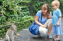 Half Day Private Tour in Ubud