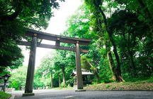 Tokyo Top 5 Sights in 6hr Licensed Guide Private Walking Tour