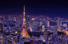 Tokyo City and Ashikaga Flowers Park or Kawagoe Private Day Tour 