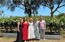 McLaren Vale with d'arenberg Tour (4 tastings & Lunch included)