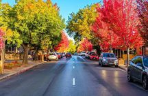 McLaren Vale and Hahndorf Tour (Lunch & Tastings included)