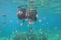 Nha Trang Half-Day Snorkeling Adventure with BBQ Onboard