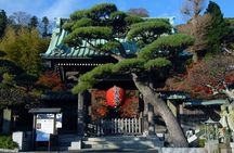 Kamakura and Yokohama Private Tour with Bilingual Chauffeur 