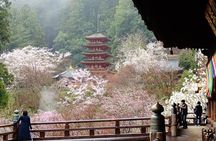Kamakura and Yokohama Private Tour with Bilingual Chauffeur 