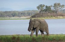 Chobe Private Day Trip A Luxury Safari Experience