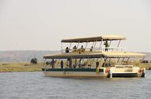 Chobe Private Day Trip A Luxury Safari Experience
