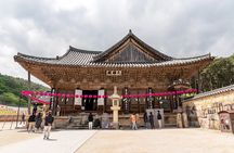 Private Busan Tailor made Tour with Tongdosa Buddhist Temple