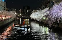 Cherry Blossom Viewing from a Boat: Tour in Yokohama Minato Mirai