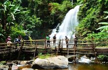 Doi Inthanon National Park and Hike Pha Dok Siew Nature Trail
