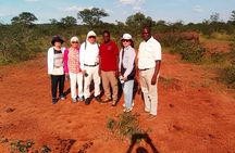 Mosi-oa-Tunya National Park Rhino Walk