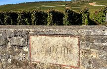 Discover the great wines of Vosne-Romanée 