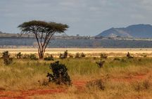 Day Tour To Tsavo East National Park