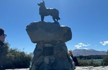 Mt Cook Full Day Private Tour Via Lake Tekapo From Christchurch