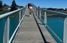 Mt Cook Full Day Private Tour Via Lake Tekapo From Christchurch