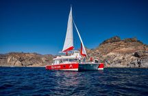 4-Hour Trip on Luxurious Catamaran from Puerto Rico