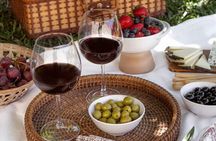 Olive Grove Picnic