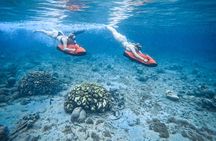 Curaçao Seabob in Playa Piskado Adventure with Sea Turtles