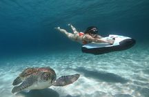 Curaçao Seabob in Playa Piskado Adventure with Sea Turtles