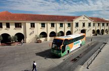  Mendoza Wine and Oil Tasting in Maipu