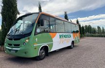  Mendoza Wine and Oil Tasting in Maipu